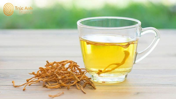 Trà Đông trùng hạ thảo giúp tinh thần thoải mái